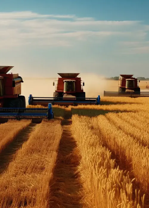 Derlius ir transportas